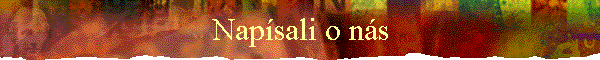 Napsali o ns